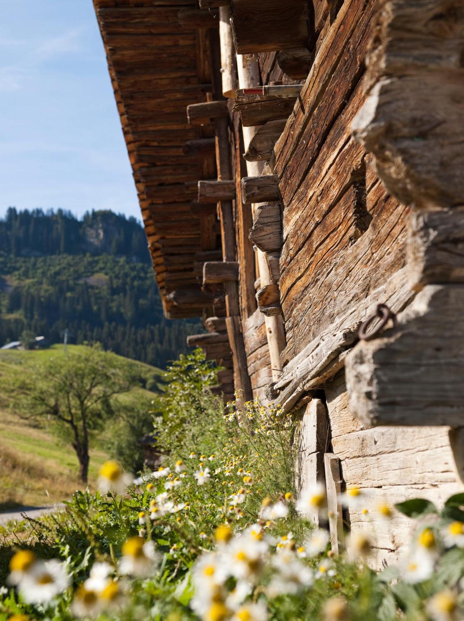 Mgm Hotels & Residences - Residence Le Roc Des Tours ル・グラン・ボルナン エクステリア 写真